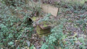 Bank von Dornröschen