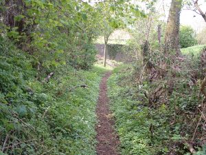 Steinweg von unten