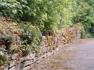 Natursteinmauer